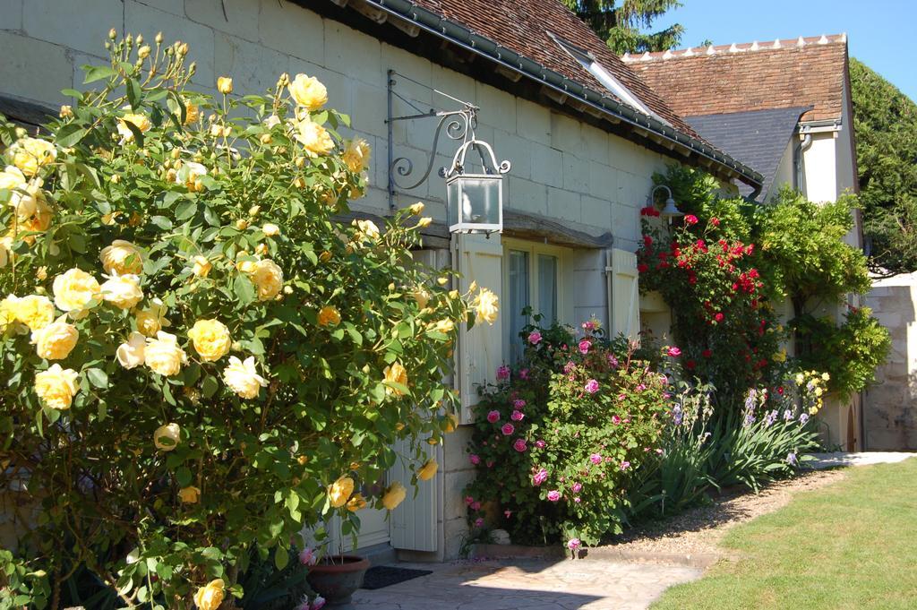 La Grange Dimiere, Pres De Tours Bed & Breakfast Saint-Genouph Bagian luar foto